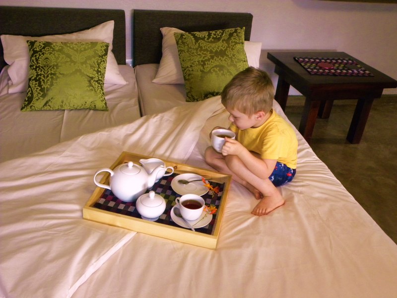 2 single sleeper couches sleep 2 extra persons or maybe a little one or two