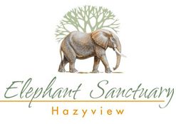 Elephant Sanctuary
